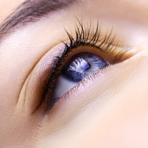 Lash and Brows